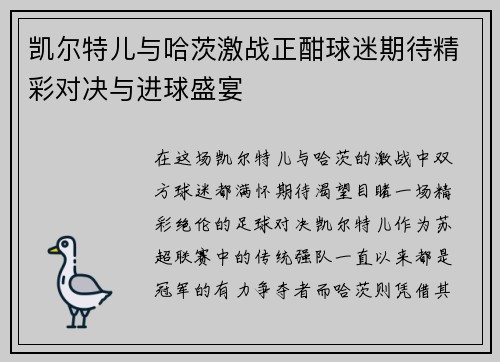 凯尔特儿与哈茨激战正酣球迷期待精彩对决与进球盛宴